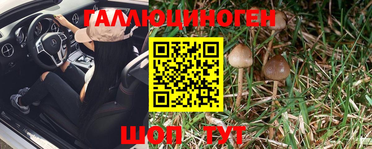 Соль-Илецк  Псилоцибиновые грибы Psilocybe  где продают   Вход с VPN 