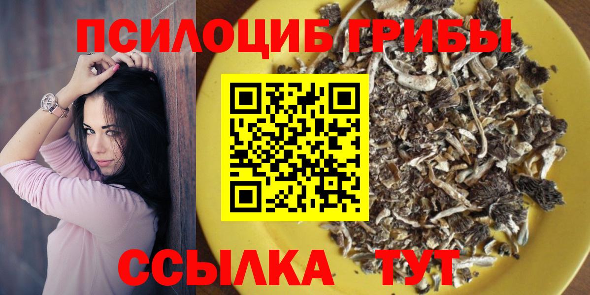 Псилоцибиновые грибы Psilocybine cubensis Соль-Илецк